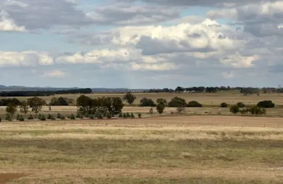 wPyzOicOAv4zInGjUPhHpvFOti3uAV5e44LF4AeF.jpg